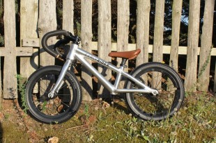 roadrunner1medium